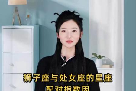 狮子座和处女座合不合 狮子座和处女座配对指数