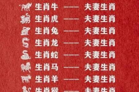 婚姻属相配对