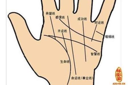 看手相算命：第六课 实际看