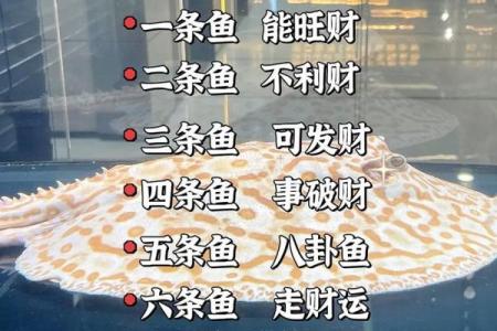 横财风水财位，财位并非要养鱼