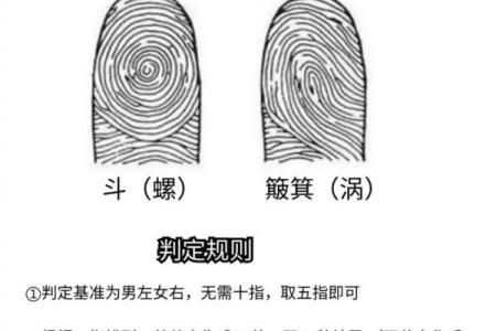 手指算命,手指掐算算命图解