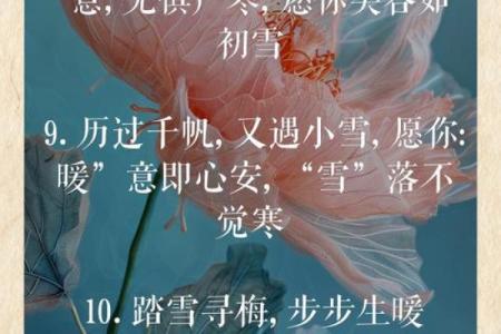 小雪节日文案 小雪节日的诗句