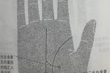 《手相学习百科》：命运线