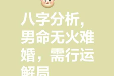 未时乙巳日八字精批：事业如何？财运如何？感情婚姻如何？