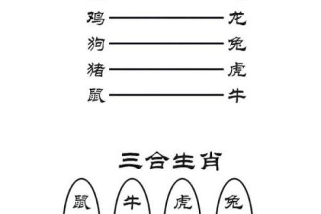 十二生肖配对大全，天作之合，你的最佳桃花运