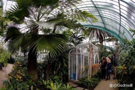玻璃房子风水植物图片