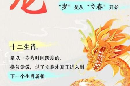 属龙是哪一年出生的 属龙的男孩出生吉日