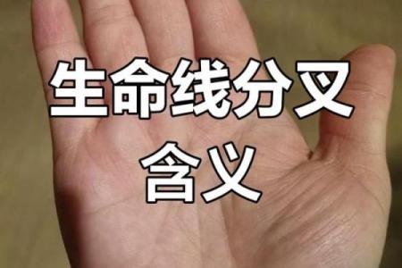 《手相学习百科》：生命线