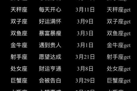 塔罗测试：十二月财运？