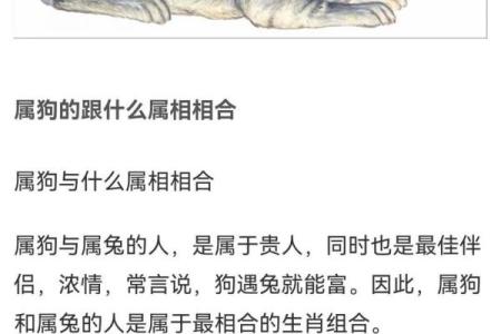 生肖兔和兔的配对是否适合