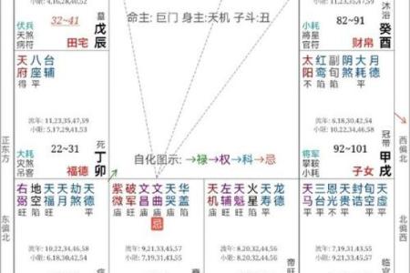 紫薇斗数老年孤独