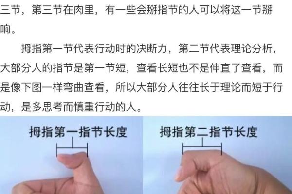《手相学习百科》：拇指