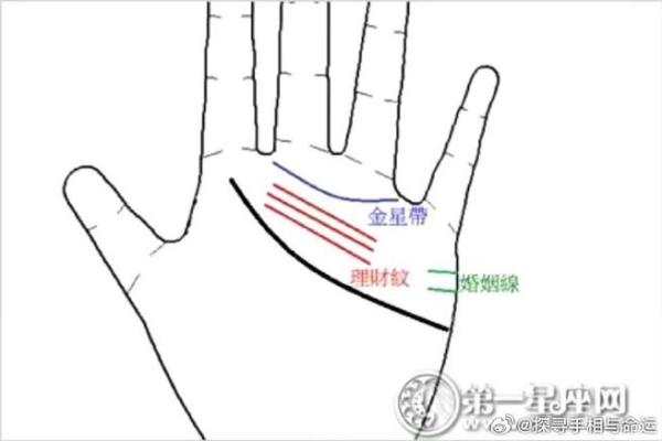 《手相学习百科》：拇指