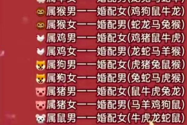 属相婚配表配对查询