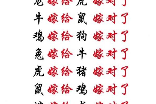 龙和老鼠属相合不合 龙和老鼠配对如何