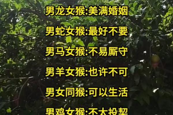 女猴男鸡生肖配对姻缘