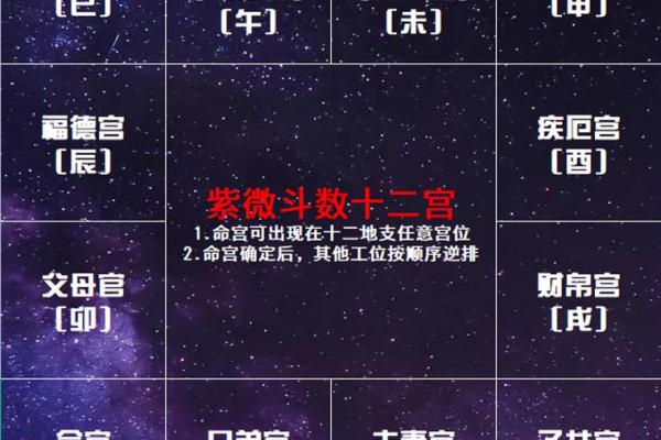 紫薇斗数宫位破