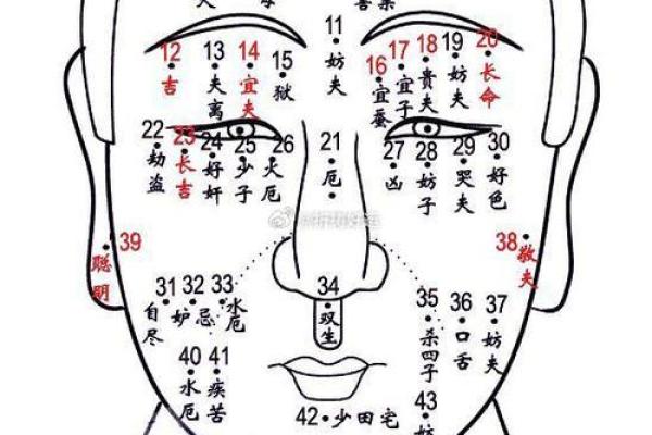痣相风水脸上哪个部位的痣不能点是为什么