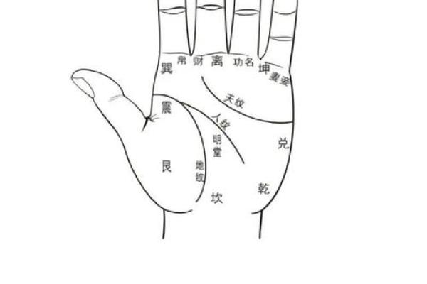 《手相学习百科》：手相重要辅线