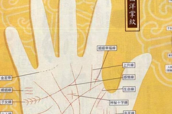 《手相学习百科》：手纹看退休