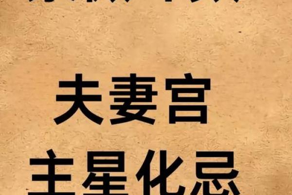 了无居士紫薇斗数