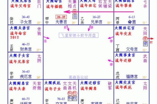 紫薇斗数安大限诀
