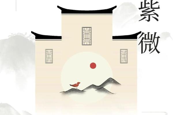 紫薇斗数申子辰