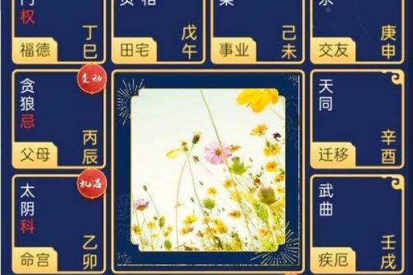 紫薇斗数申子辰