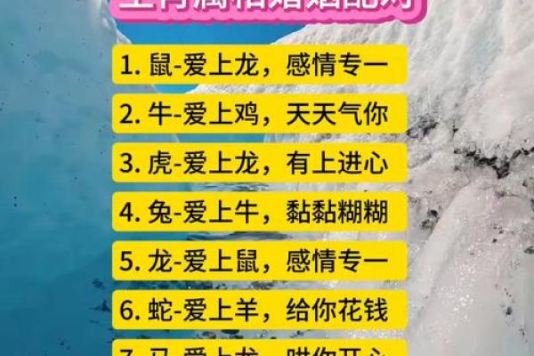 夫妻最好的属相配对