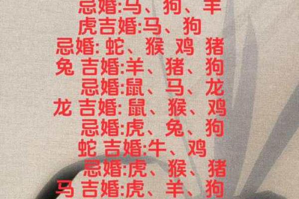 十二生肖配对表