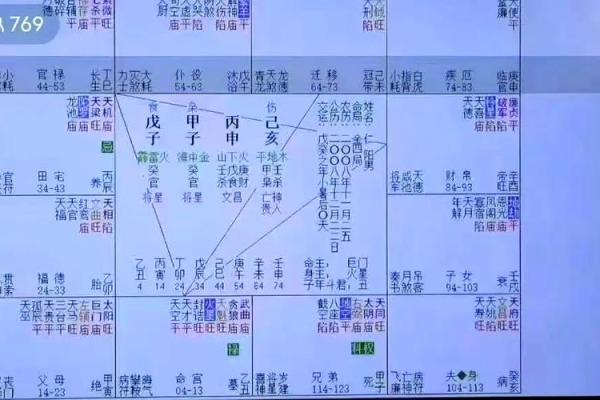 紫微斗数体系框架（零基础入门）