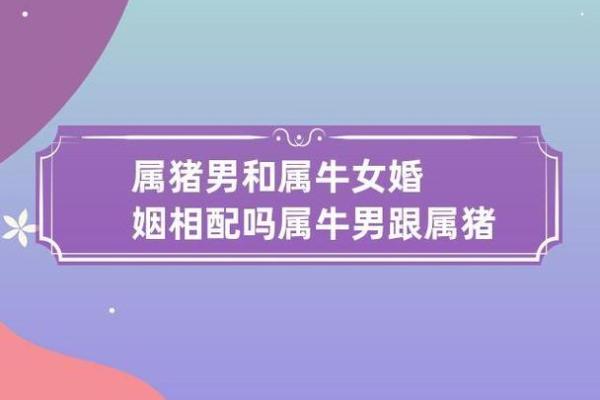 属牛女的婚姻配对更佳属相