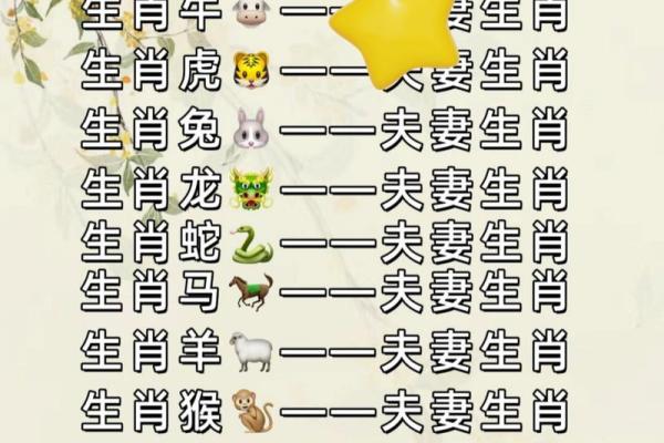 属牛女的婚姻配对更佳属相