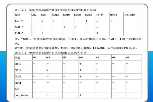 白血病八字