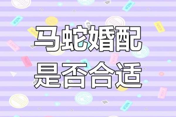 属马的女人和属牛的男人配吗 情感配对深度分析