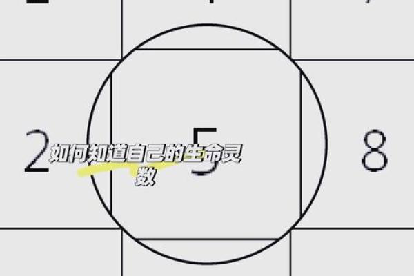 生命灵数3跟什么配对
