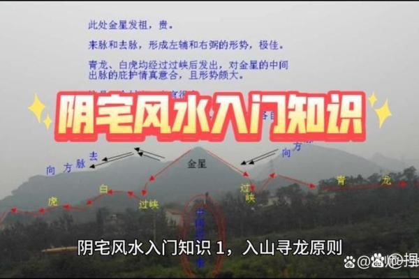 如何选阴宅风水更有利子孙运势