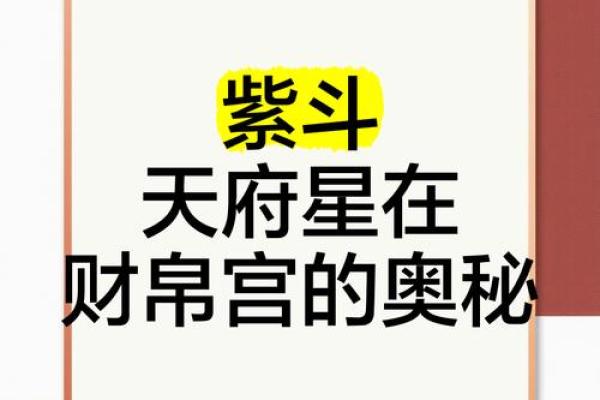 紫薇斗数财昂