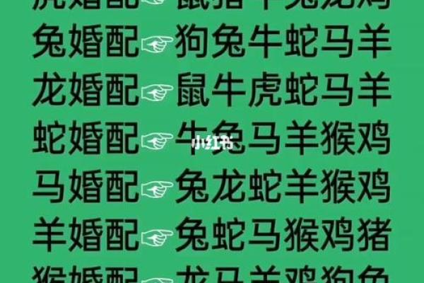 1991年属什么生肖配对女 1991年属什么生肖配对最好命