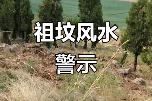 祖坟风水不好怎么化解