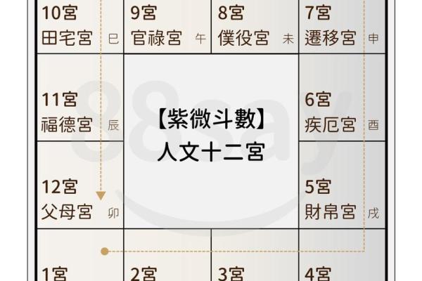 紫薇星盘免费测试姻缘