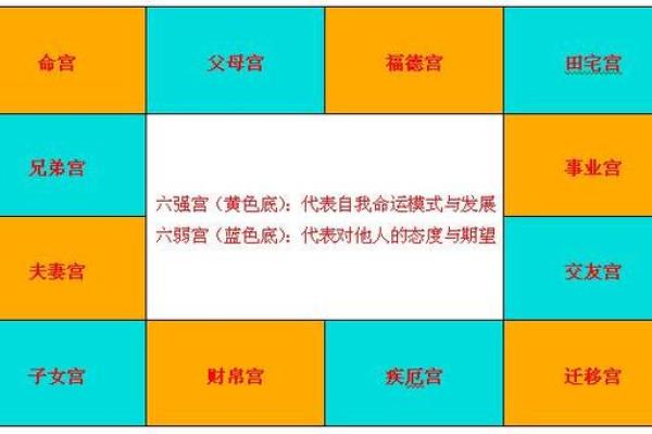 紫薇星盘免费测试姻缘