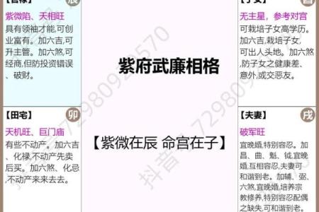 紫薇斗数紫微星位置咋确定