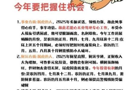 属虎方位吉凶查询大全视频