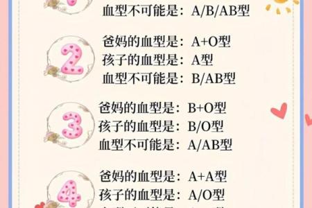 血型占比排行 哪种血型比例最高