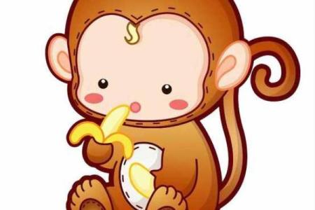 B血型的生肖猴人的人生