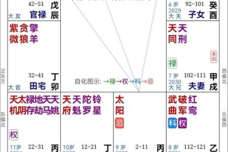 紫薇斗数盘钟表时间