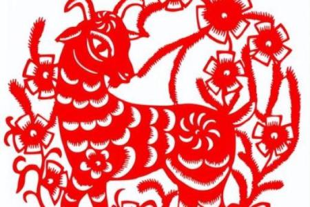 围绕中心生肖养，打造最全生肖百科！