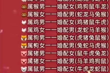 属相婚配表配对查询