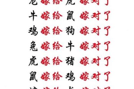 龙和老鼠属相合不合 龙和老鼠配对如何